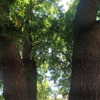 yathpap's profile picture.