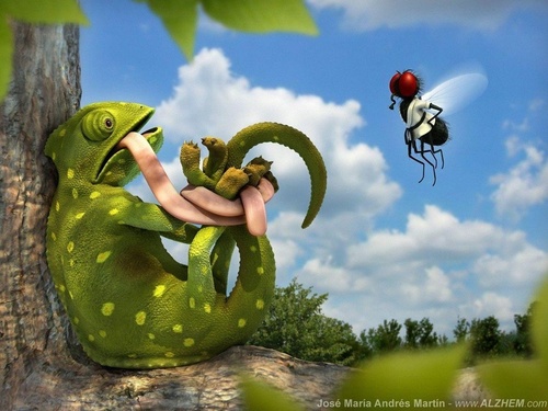 MaruSantovena's profile picture. 