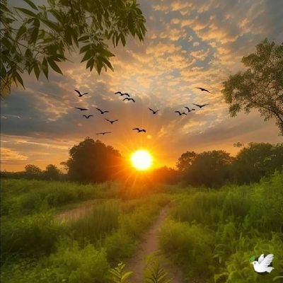 sunrise1183716's profile picture. Follow me 💯💯💯💯💯💯💯💯💯💯💯💯💯💯💯 Follow beak you