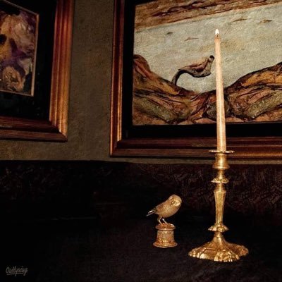 moayedll's profile picture. الحمدُلله