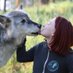 Nellie (@feefwolf) Twitter profile photo Nellie (@feefwolf) Twitter profile photo