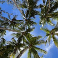 J (@jaa_790) Twitter profile photo