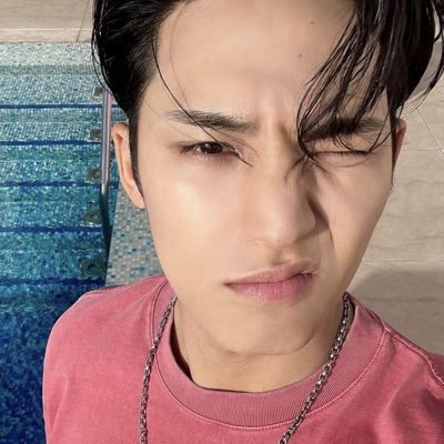 gyulandfairy's profile picture. my activity? loving mingyu