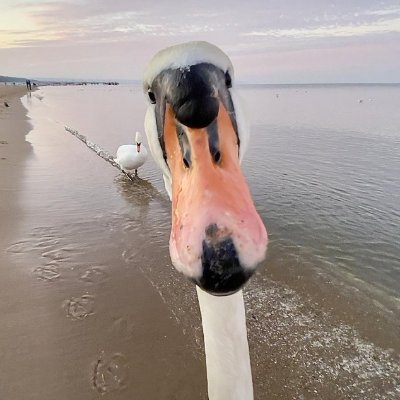 Programmer, silly creature
Loves @RPI_Gay a ton ❤️
Also on Bluesky: https://t.co/DuKjj8GE7b
Also on Fedi: https://t.co/erNKPeyzIb