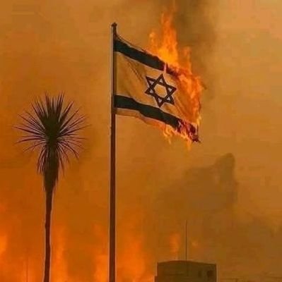 Anyone who supports Israel is disgusting 🇵🇸From the river to the sea Palestine will be free. 🇵🇸