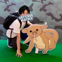 ディム (@dimgalzkey) 's Twitter Profile