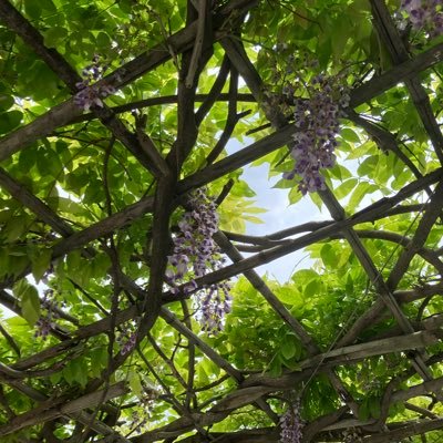 IZFpT9vEw423084's profile picture. 自然🪿と共に生きる。