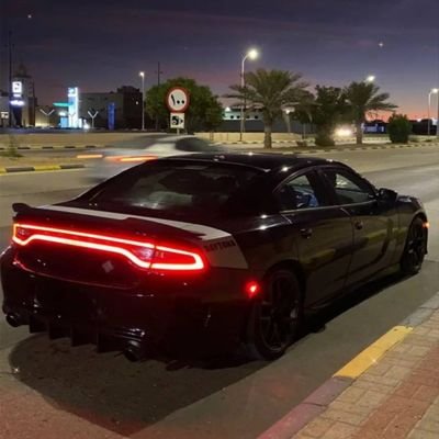 Wisdom479772's profile picture. 