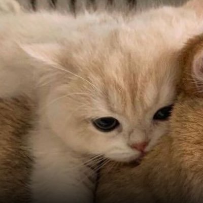 rakongtisud's profile picture. ณร๊องooj