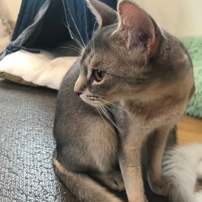 iGExH4Z3Yw72509's profile picture. 子ども3人育児ママ 会社員 推し活楽しみます！