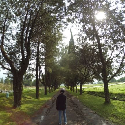 Mieayamspesial_'s profile picture. pijit massage khusus wanita
open Bfrent offline/online