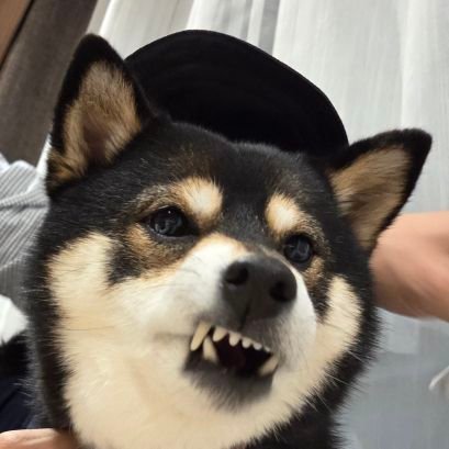 BlackGo_kucc25's profile picture. kucc25
機械工学科