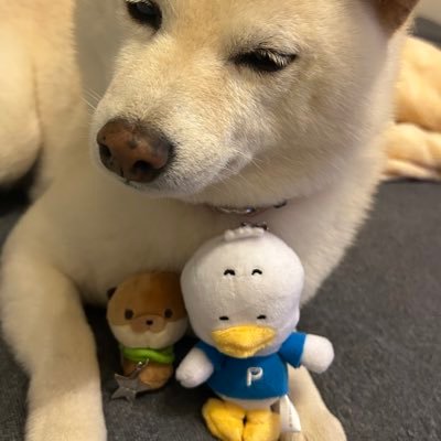 人生初推し活、子持ち、柴犬飼い、元々はタダの音好き。推し以外も呟くほぼ雑多。無言イイネ&フォローすみません🙏呼びタメで気軽にどうぞ!NEXT→9/15ロッキン.9/27フェス.11/3夜有明