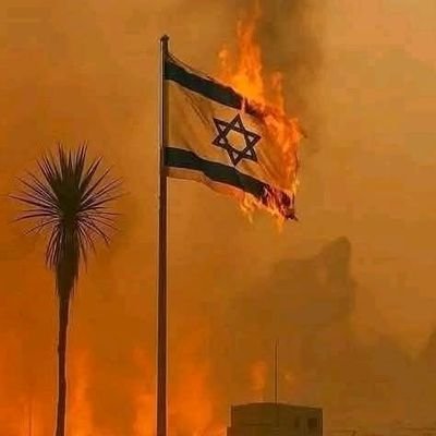 Criminal_matic's profile picture. Vomitando a estas horas!