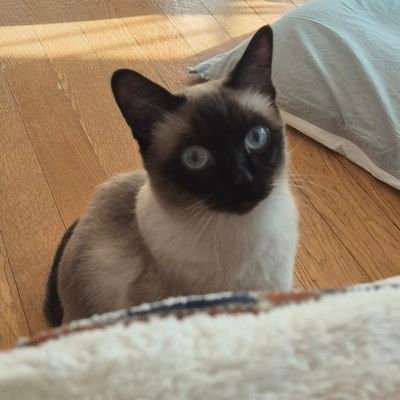 토즈さんのプロフィール画像