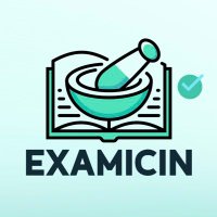 Examicin (@examicin) 's Twitter Profile Photo