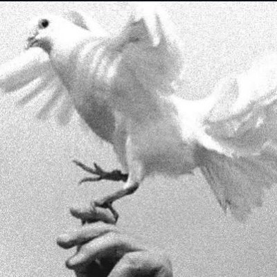 AeternaCaritas's profile picture. Love is the only answer