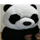 hall_sandr99892's profile picture. Professional Shiller,
Here since 2013 👵🏼,
 👑,
Love 
Future billionaire