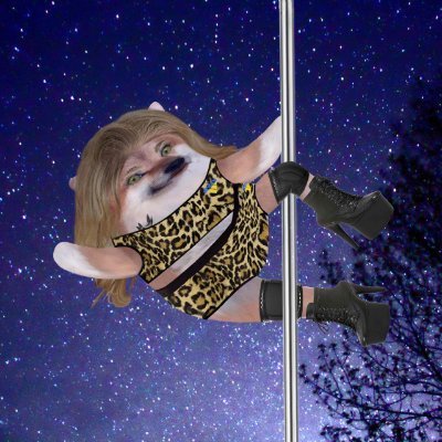 poledance_fella's profile picture. #NAFO #Fella
