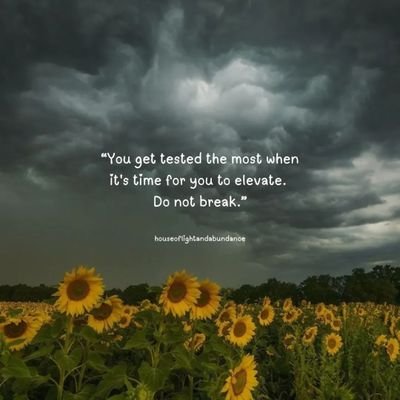 kumarparth5's profile picture. Right wing 
🇮🇳