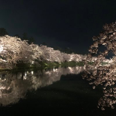 人生のんびり過ごしたい