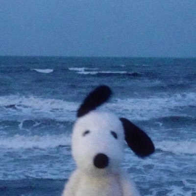 lilpevensie's profile picture. Allons nous gaver d’amour jusqu’à en crever.