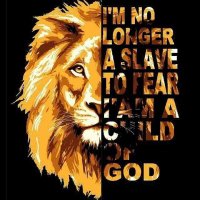 Jasmin Gesslein (@jassi71) Twitter profile photo