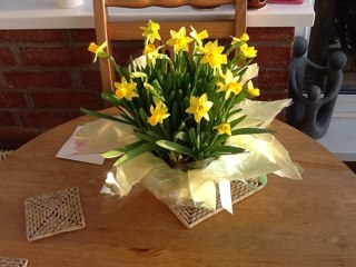 dudleypendragon's profile picture. Silver twitterer