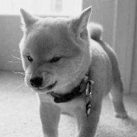 一定 (@ittei_jc) 's Twitter Profile Photo