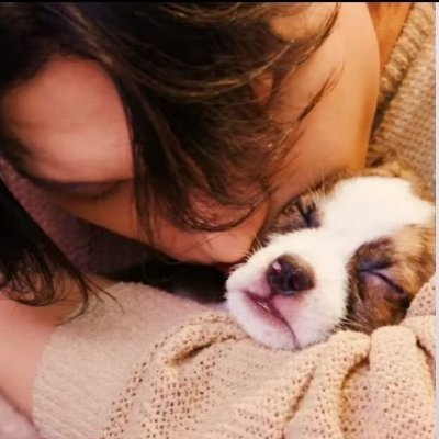 lcwnathan's profile picture. atiny, wooyoung and san biased