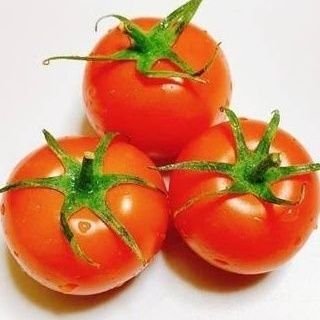 カッシート⊿さんのプロフィール画像