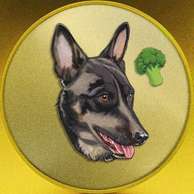 nou01011074801's profile picture. 