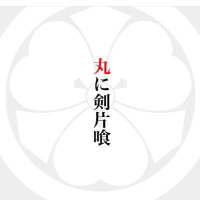 elcastillo_'s profile picture. #真実が知りたい 日本の伝統文化を守りたい 横につながる大切さ