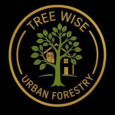 Reconnecting people with trees through hands on conservation, education and storytelling. Views rooted in experience.