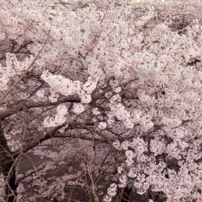 00317mumu's profile picture. 