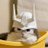 kento34gtr's profile image