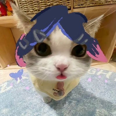 plusplusyy's profile picture. ＋Y。-64を捲る生活中です。卒業: 源lt禁書目録LT 番長