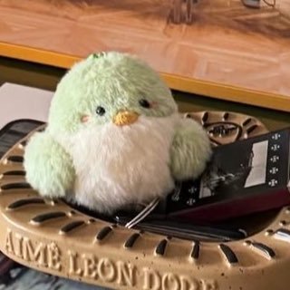 Ppm_koy's profile picture. My Life My Love ✨