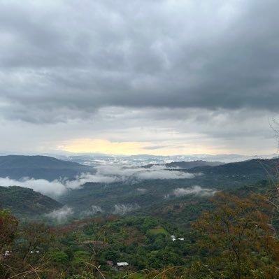 ArguetaOsi96903's profile picture. 