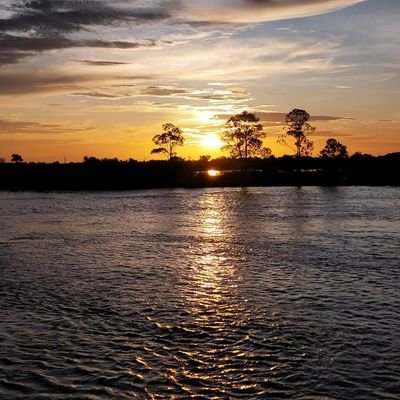 HomemPin's profile picture. 