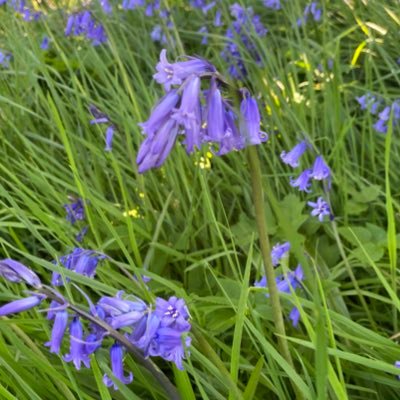 klatherinepaine's profile picture. PDRA