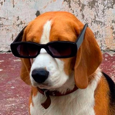 DevZenit's profile picture. Gamedev