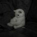 Sou Hila (@hila433379) Twitter profile photo Sou Hila (@hila433379) Twitter profile photo