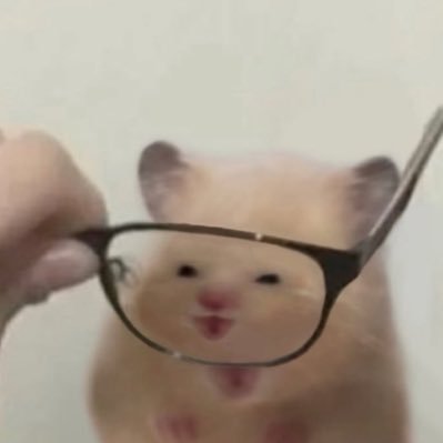 ππΌππ¦ππππΎππ Profile