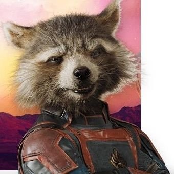 scouttoktz's profile picture. 