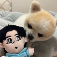 たゆマル (@27k_tayumar) 's Twitter Profile