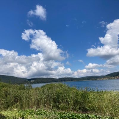 EmreSertt13's profile picture. AB-Tıp Fakültesi Mezunu