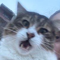 Berta (@bertasuhedar) 's Twitter Profile
