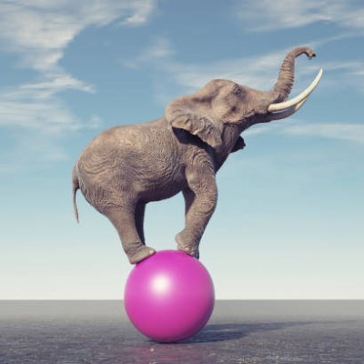 AndranikMi42000's profile picture. Like animals