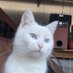 justlucass (@jjustlucass) Twitter profile photo justlucass (@jjustlucass) Twitter profile photo